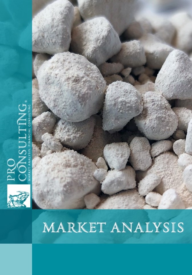Analytical note on the kaolin market in Ukraine. 2024